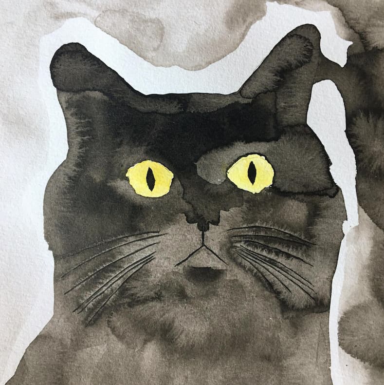 Black Cat Appreciation Day