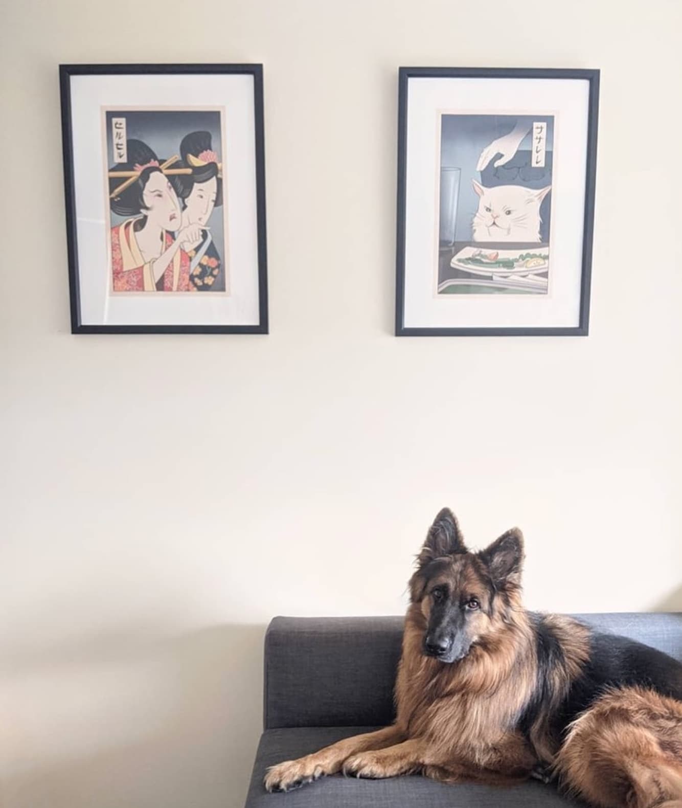 good boy