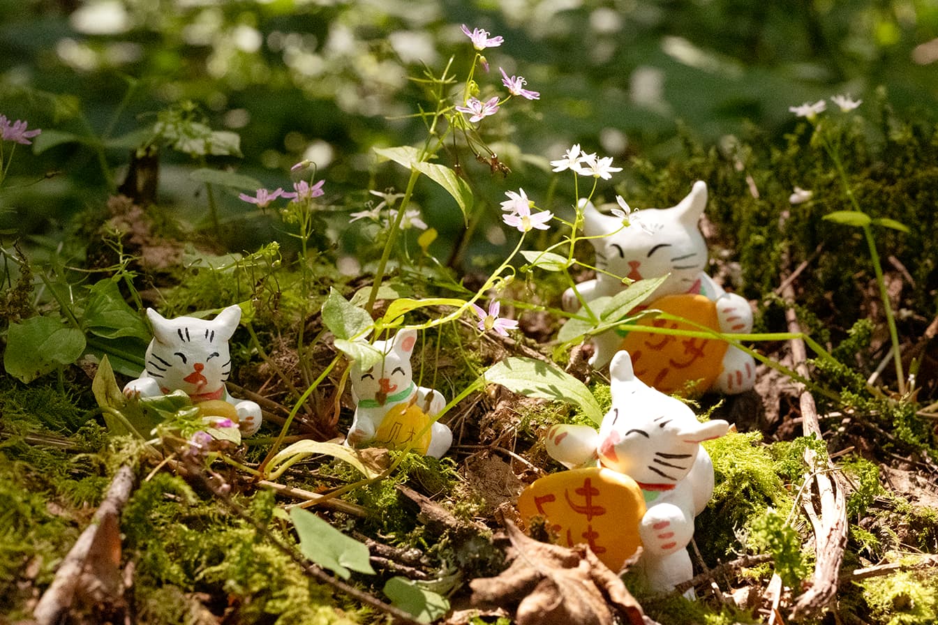 A wild lucky cat family appears!