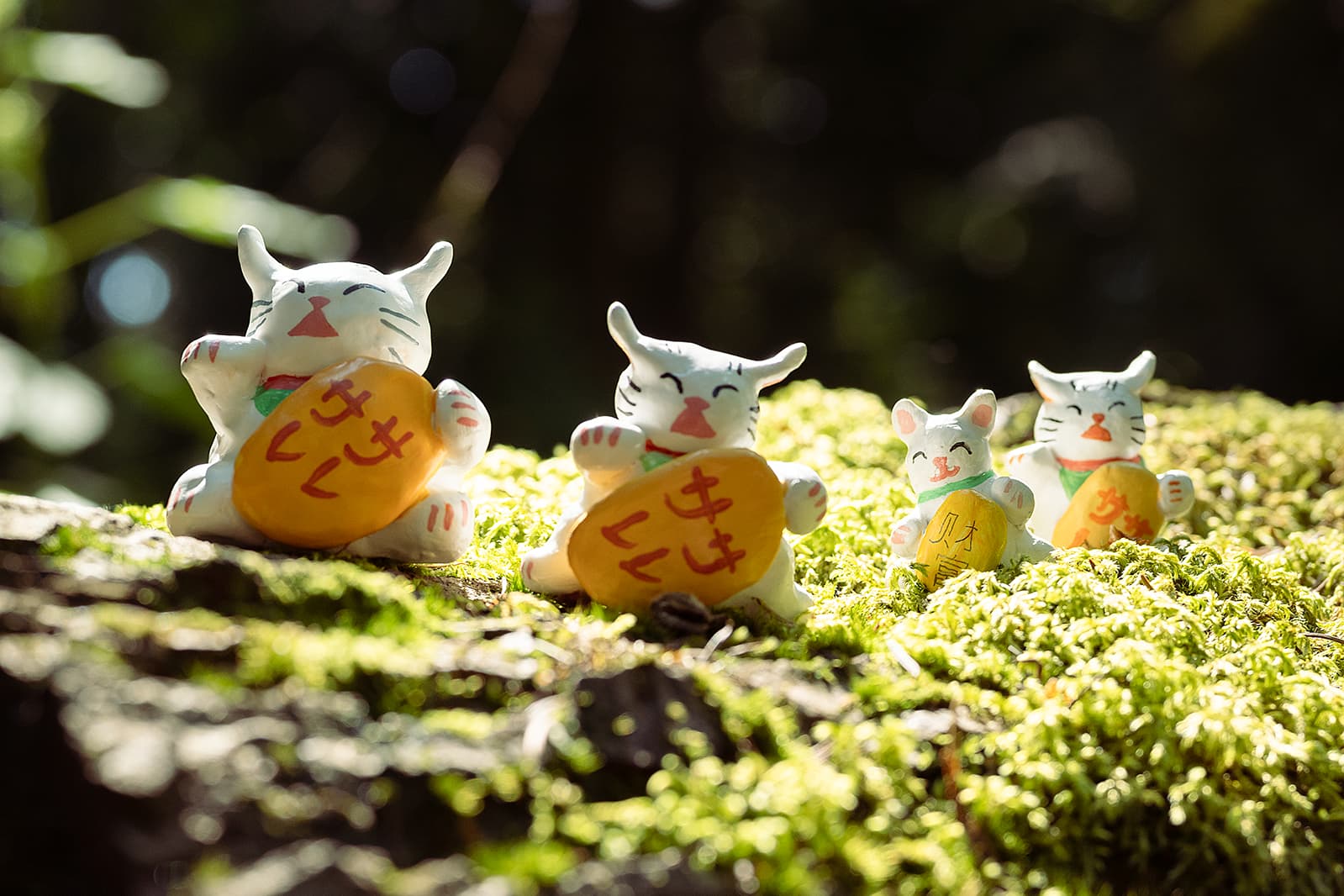 Out and about with the lucky cat family