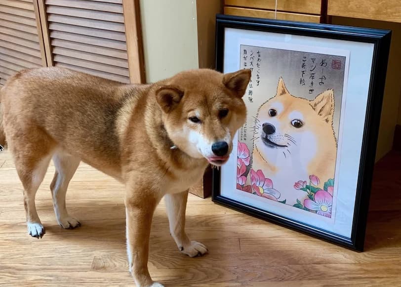 Wow. Very twins. Such appreciate.
