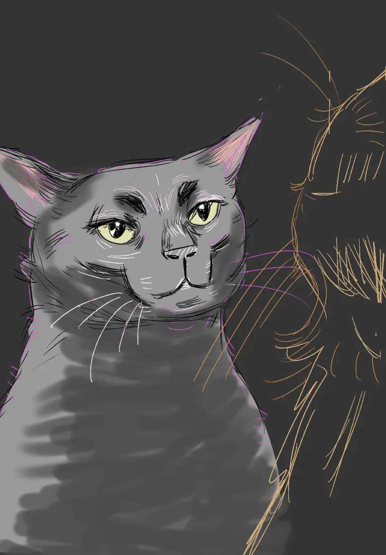 Sketch exploration for "Cat Zoning Out" print