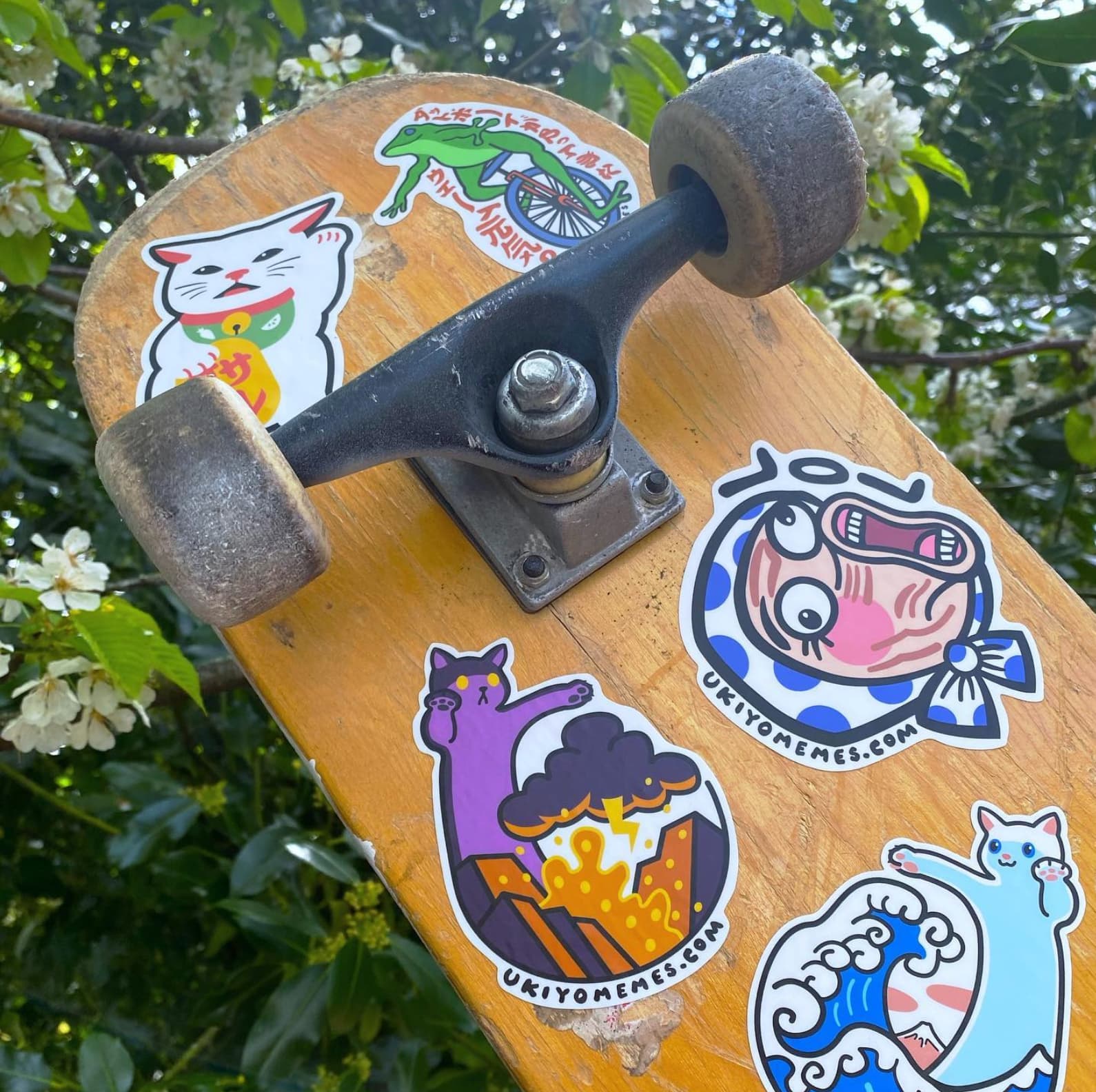 skateboard