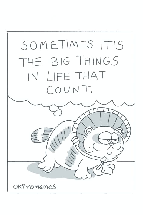 Tanukifield - Big Ideas